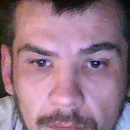 ����, �����������, 44 ����