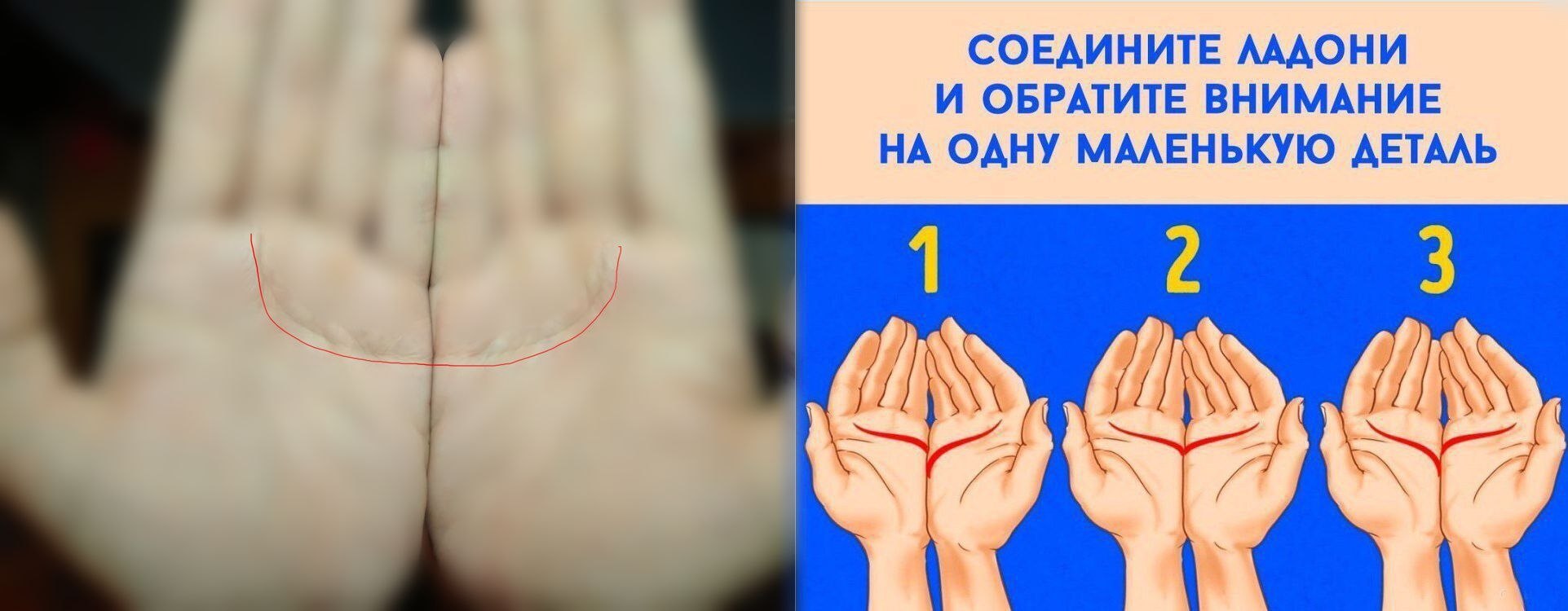 Весьма занятно (2). - 1 - Линия на левой руке вышеЭтот человек не торопится заводить серьезные ...