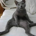 ���� �������, �����, 52 ���� - ��������� 28 ������ 2017 � ������ ���� ����������