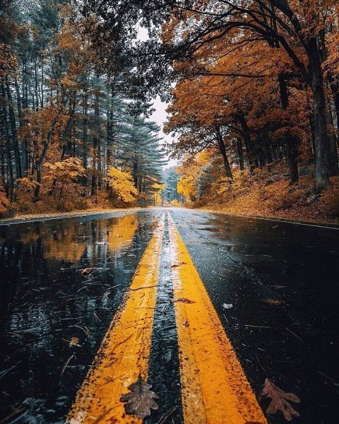 ����������: �����, �����, �����... - 5