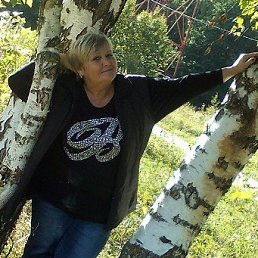 ���� �����, ������ - ��������� 28 �������� 2017