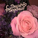 ���� �����, ������, 58 ��� - ��������� 6 ���� 2017 � ������ ���� ����������
