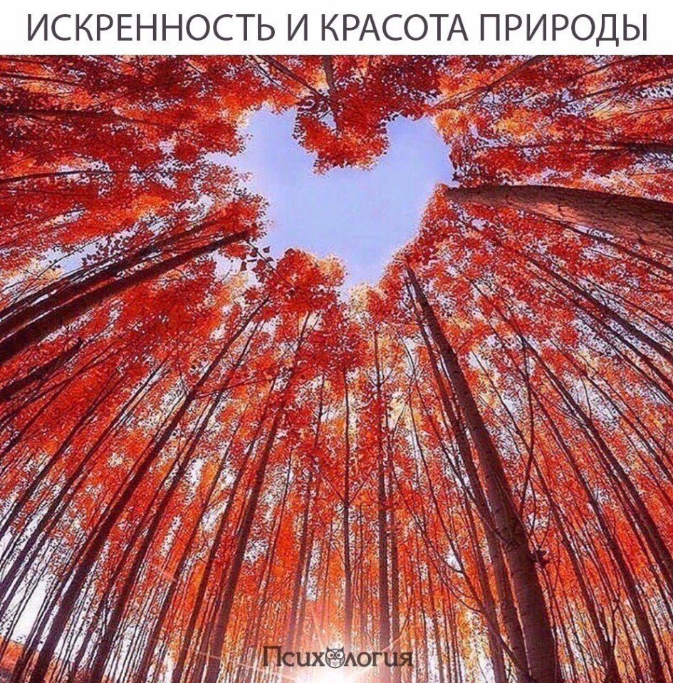  - 15  2017  11:07