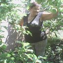 ���� ������, �������� - ��������� 28 ���� 2017