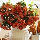 ���� �������, ������ - ��������� 1 ������� 2017 � ������ ��������