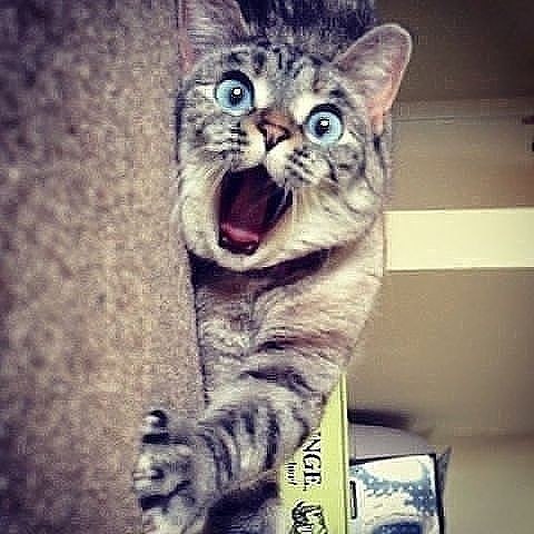 # #.- ...,     -!.. !..      ...