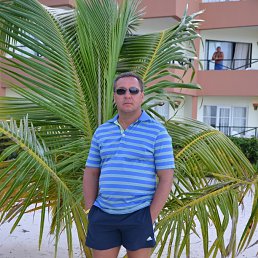 ���� ������, ������, 48 ��� - ��������� 8 ������� 2017