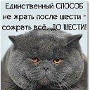 ���� ˸�����, �������, 62 ���� - ��������� 20 ���� 2017 � ������ ���� ����������