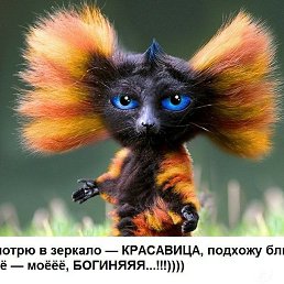 ���, �����������, 48 ���