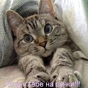 ���� ������, ������ - ��������� 9 ������� 2017 � ������ ���� ����������