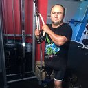  , -, 51  -  31  2017    