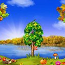 ���� ������, �����, 46 ��� - ��������� 14 ��� 2017 � ������ �������� �������-�������