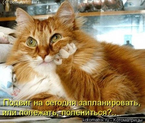 ДОБРОЕ УТРО!!! ЗАМЕЧАТЕЛЬНОГО И ТЁПЛОГО ВАМ НАСТРОЕНИЯ!!!