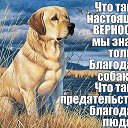 ���� Alekcandr, ������ - ��������� 27 ������� 2017 � ������ �������� ��������