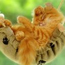 ���� Takytoka, ������ - ��������� 14 ������ 2017 � ������ ������ ��������