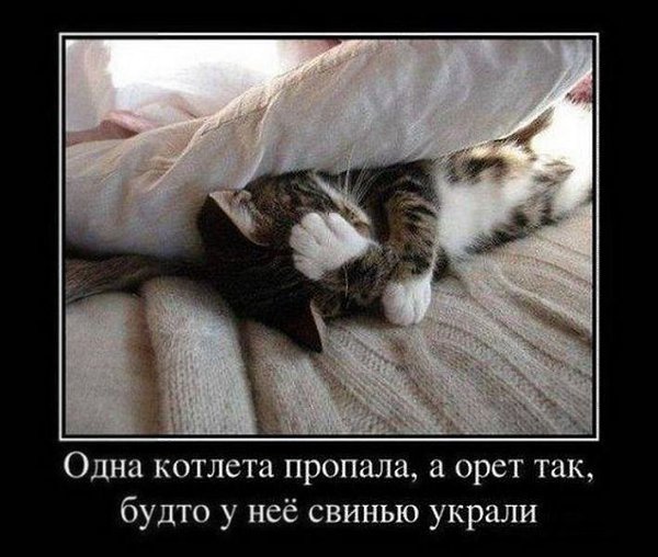 ������ �������! - 21 ������� 2017 � 03:41