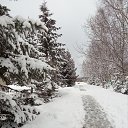 ���� �����, ���������, 62 ���� - ��������� 11 ������ 2017 � ������ ������ ��������