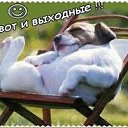 ���� Vseotlichno, �����������, 52 ���� - ��������� 23 �������� 2017 � ������ ������ ��������