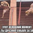 ���� �����, ������ - ��������� 7 ���� 2017 � ������ ������ ��������