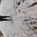  , , 51  -  29  2017    2017