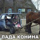 ���� �����, ������, 53 ���� - ��������� 6 ���� 2017 � ������ ������ ��������