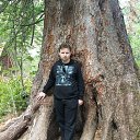 ���� ������, �����������, 35 ��� - ��������� 13 ������ 2017 � ������ ������ 2017�