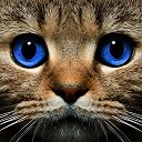 ���� ���������, �������, 53 ���� - ��������� 21 ������ 2017