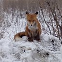 ���� ��������, �������������-����������, 51 ��� - ��������� 18 ������ 2017 � ������ ���� ����������