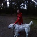 ���� �������, �����-���������, 39 ��� - ��������� 30 ���� 2017 � ������ ���� ����������