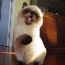 ���� ������, �������, 46 ��� - ��������� 19 ������ 2017 � ������ ������ ��������