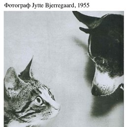 ����, ������, 42 ����