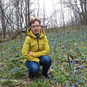 ���� ������, ������ - ��������� 14 ������ 2017 � ������ ���� ����������