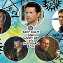 ���� ��� ����-182, �������������� - ��������� 31 ���� 2017 � ������ ���� ����������