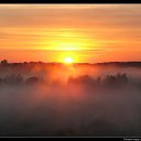 ���� �������, ��������, 69 ��� - ��������� 8 ������ 2017 � ������ ������ ��������