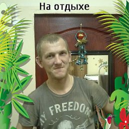 ���� ������, �����������, 43 ���� - ��������� 1 ��� 2017