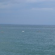 �����, 47 ���, ������