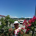  , , 68  -  19  2017    2017