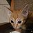 �����.��� �����.