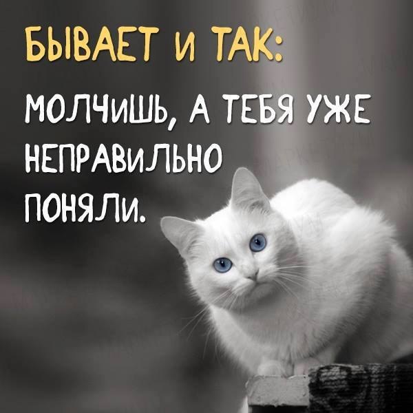  ... - 12  2017  16:53