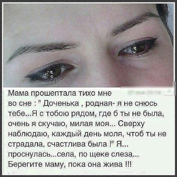 ������ �������� &copy; - 9 ��� 2017 � 19:19