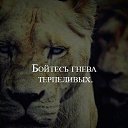 ���� �����, ���������, 56 ��� - ��������� 6 ���� 2017 � ������ ���� ����������