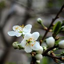 ���� ������, ������, 49 ��� - ��������� 3 ��� 2017 � ������ ������� Nikon�