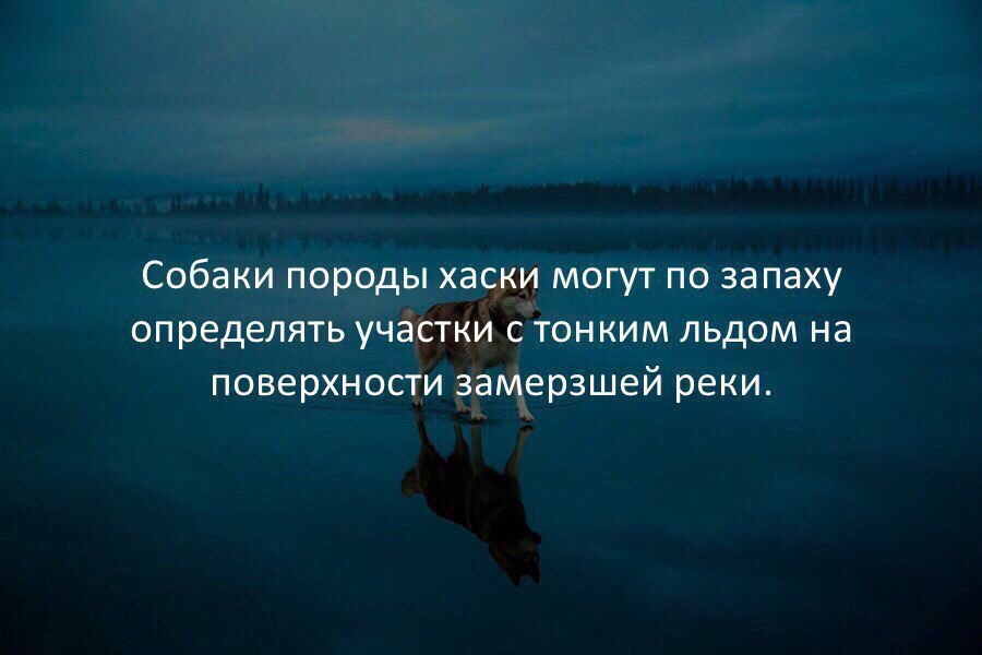    ! - 28  2017  07:51