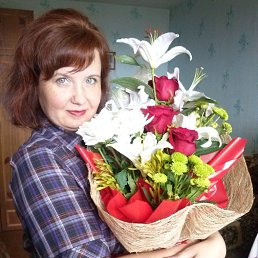 ����, ��������, 50 ���