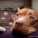 ���� �����, ������ - ��������� 7 ���� 2017 � ������ ������ ��������