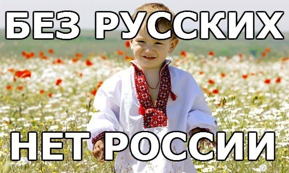   - 7  2017  13:58