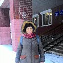 �������� ���� 2017 �� ������� ���� ����������