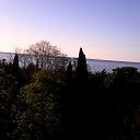 ���� ����, ������, 64 ���� - ��������� 26 ��� 2017 � ������ ���� ����������