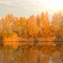 ���� �����, ����, 51 ��� - ��������� 17 ������� 2017