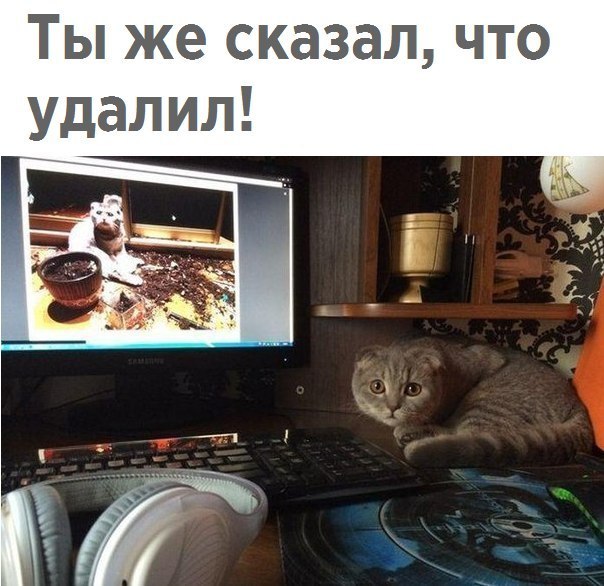 ����� � ������� - 15 ������ 2017 � 09:26